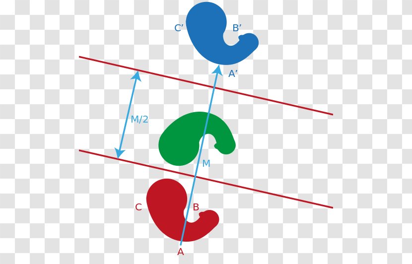 Translation Reflection Transformation Geometry Motion - Cartoon - Mathematics Transparent PNG