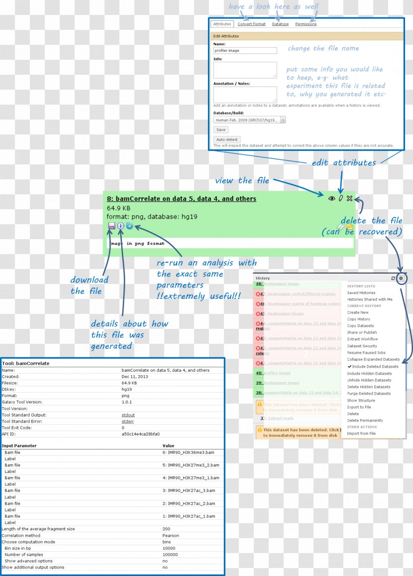 Document Line Brand Font Transparent PNG