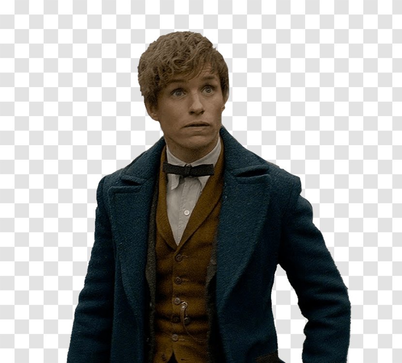 Fantastic Beasts And Where To Find Them Film Series Newt Scamander Eddie Redmayne Draco Malfoy - Jacket - Harry Potter Transparent PNG