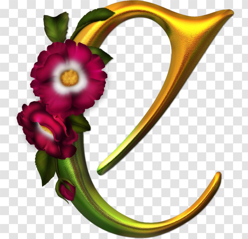 Letter Alphabet I - M - Florals Clipart Transparent PNG