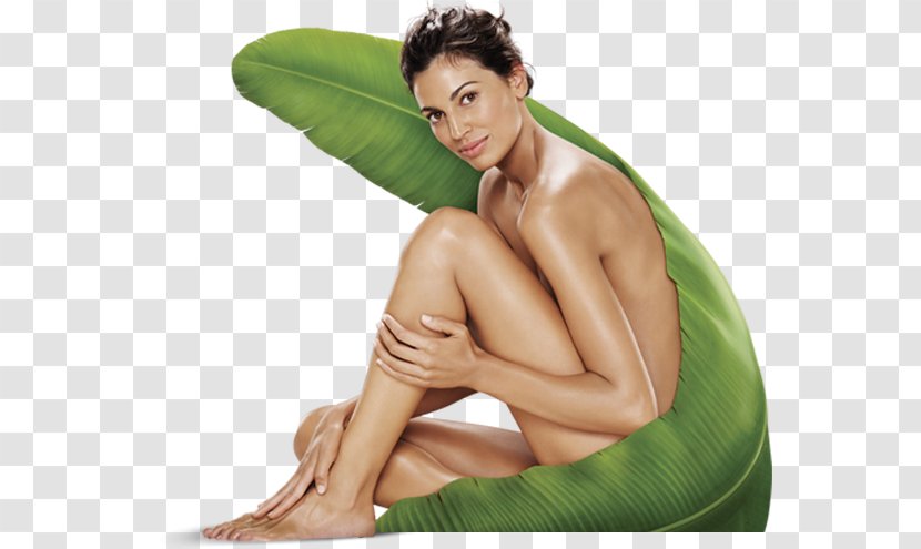 Herbalife Business Information - Heart - Female Model Transparent PNG