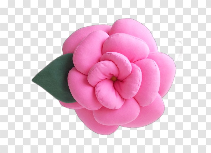 Cut Flowers Pink Color Petal - Flower - Flor Transparent PNG