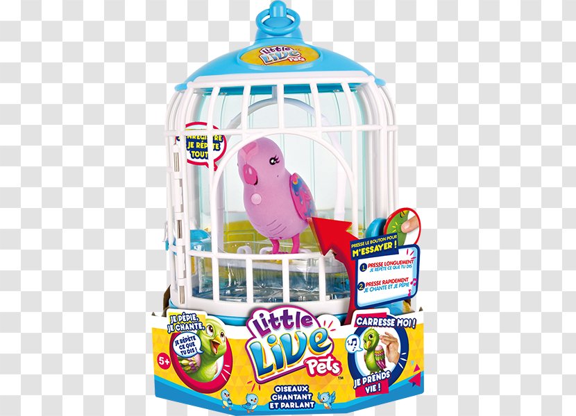 Little Live Pets Lovebird Budgerigar Birdcage - Toys R Us - Bird Transparent PNG