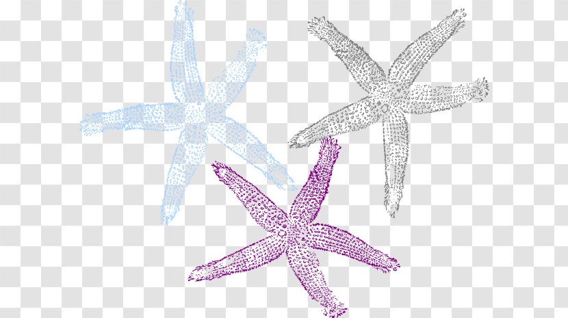Starfish Clip Art Image Drawing Invertebrate - Hawaii Posters Transparent PNG