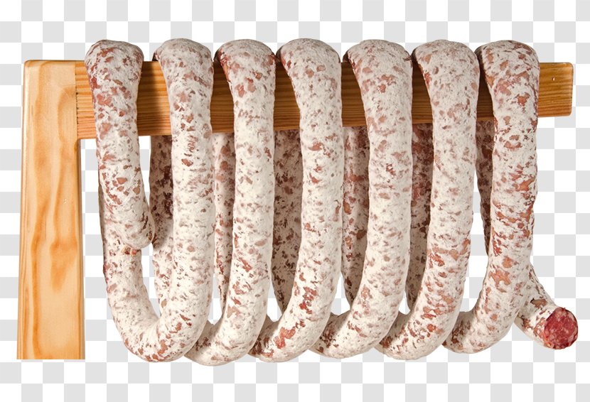 Salami Sausage Cervelat Bratwurst Knackwurst - Salt Cured Meat Transparent PNG