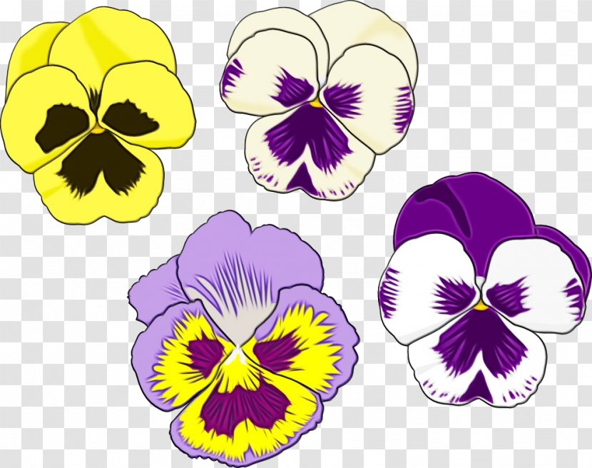 Flower Flowering Plant Wild Pansy Violet - Purple - Family Yellow Transparent PNG