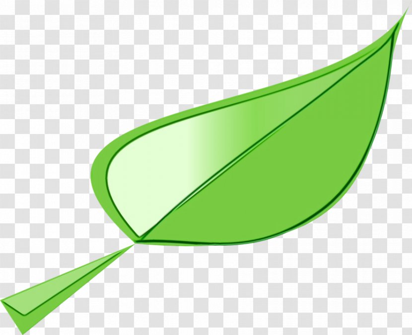 Green Leaf Watercolor - Painting - Logo Plant Transparent PNG