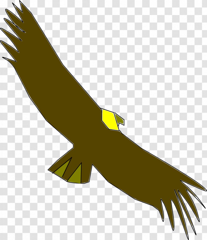 Condor Download Clip Art - Feather - Hand Transparent PNG