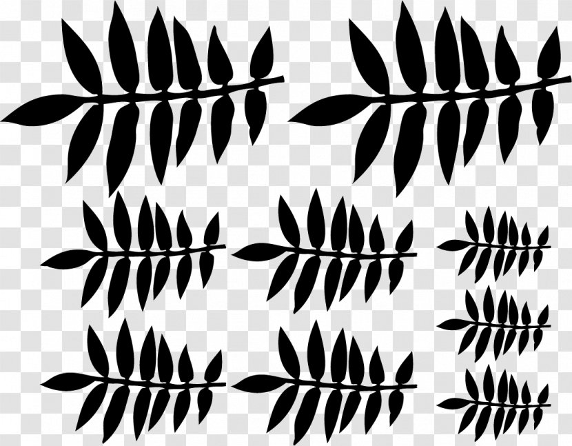 Twig Wall Decal Sticker - Flora - Lima Transparent PNG