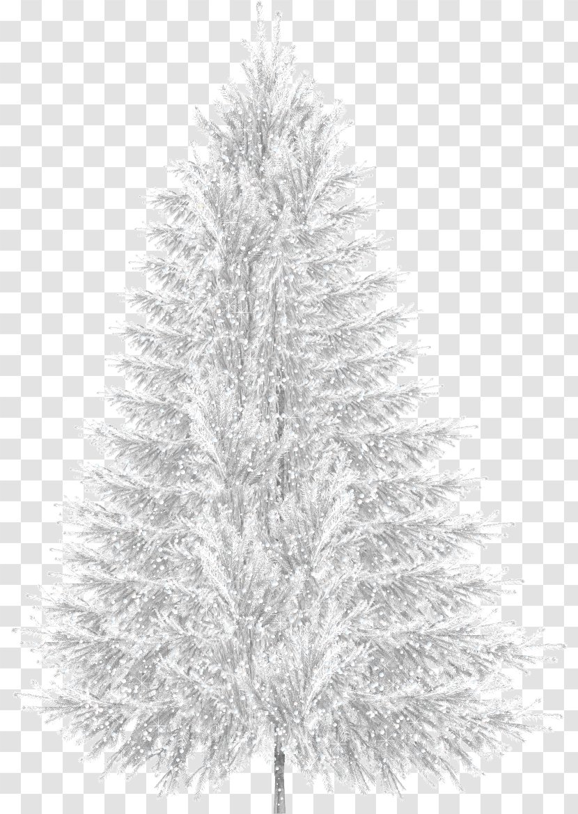 Tree Clip Art - Woody Plant - Winter Transparent PNG