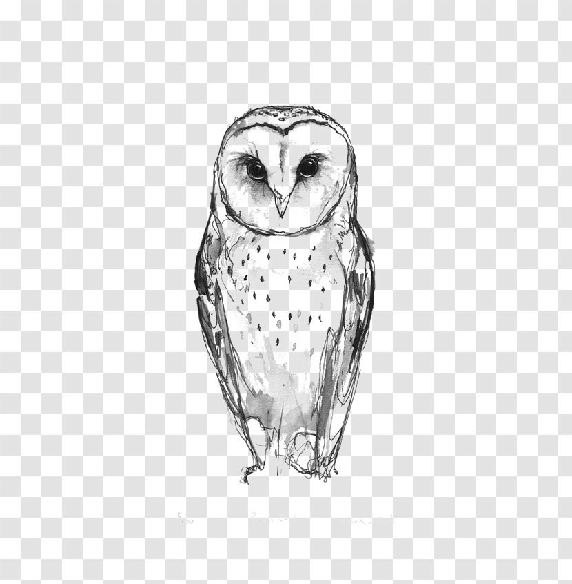 Barn Owl Tattoo Idea Drawing Transparent PNG