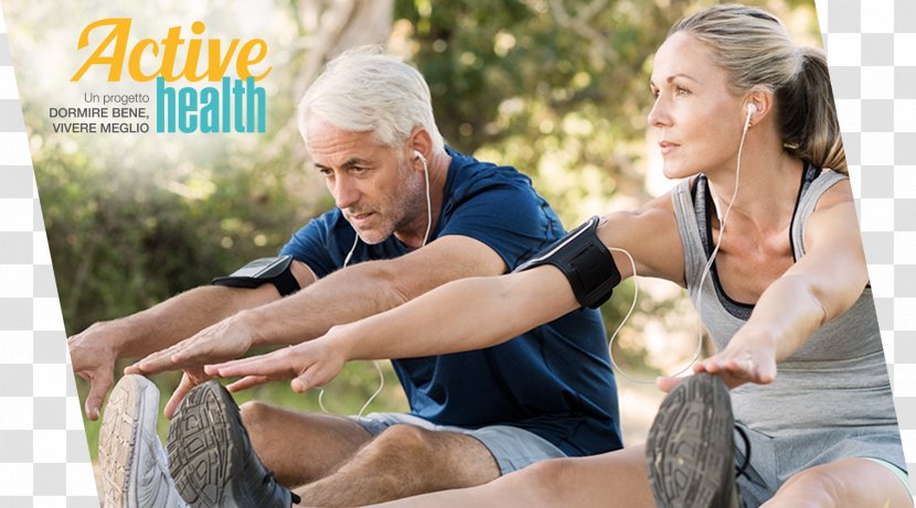 Exercise Physiology Physical Fitness Stretching Weight Training - Endurance - Elderly Care Transparent PNG