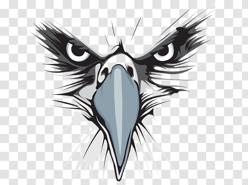Bald Eagle Logo Graphic Design - Beak Transparent PNG
