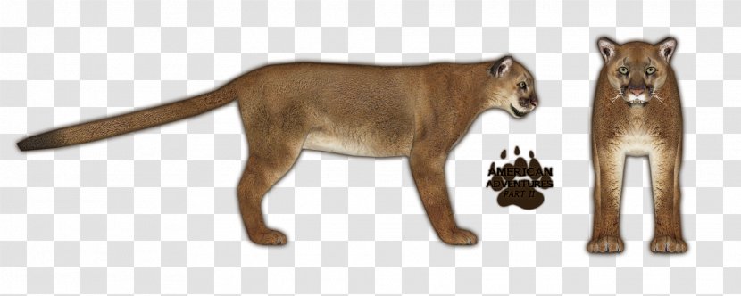 Zoo Tycoon 2 Felidae Cat Black Panther - Lion Transparent PNG