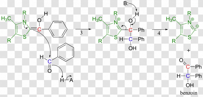 Thiamine Pyrophosphate Dietary Supplement Benzaldehyde Benzoin - Biochemical Transparent PNG