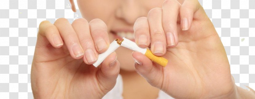 Tobacco Smoking Cessation Ban Health - Watercolor - Broken Cigarette Transparent PNG