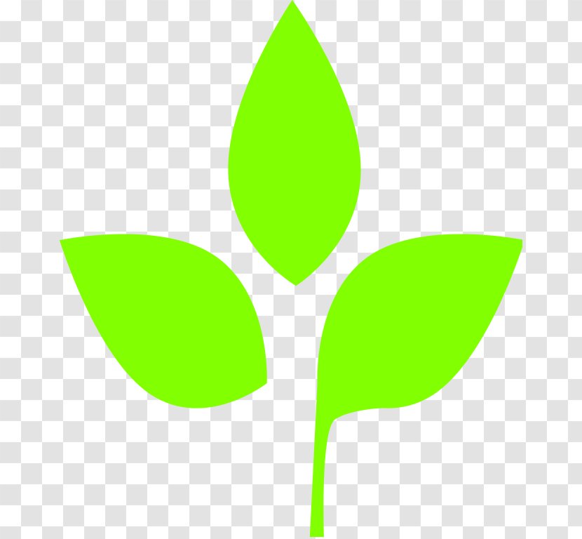 Leaf Clip Art - Green - Icon Transparent PNG