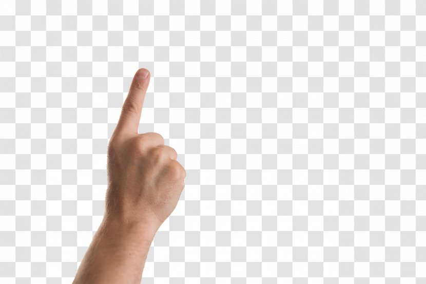 Finger Hand Model Thumb Arm - Hands Transparent PNG