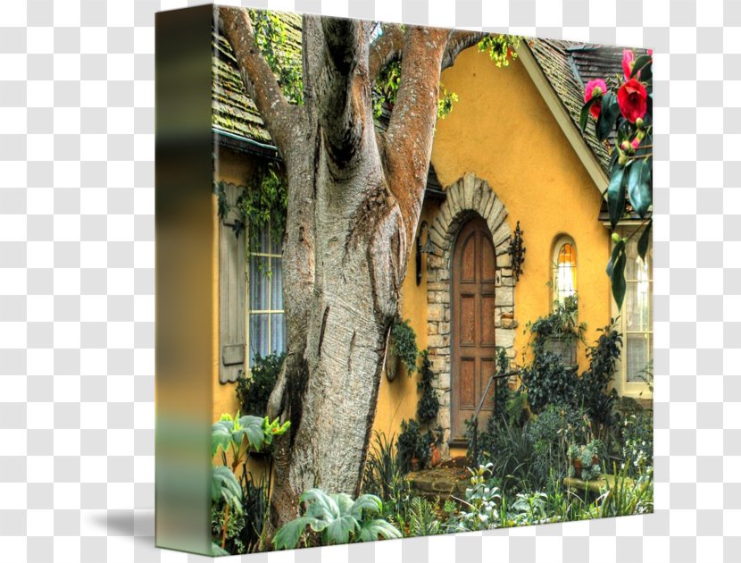 Property Tree Landscaping Flower - Facade Transparent PNG