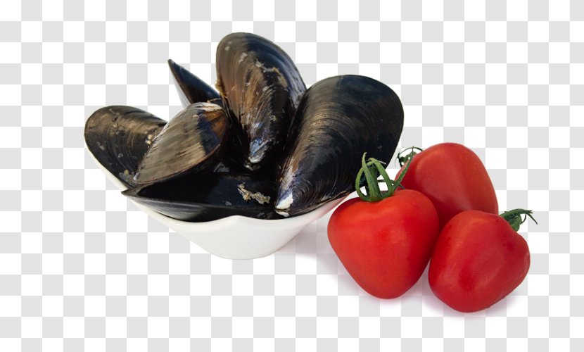 Blue Mussel Clam Bivalvia Food - Superfood Transparent PNG