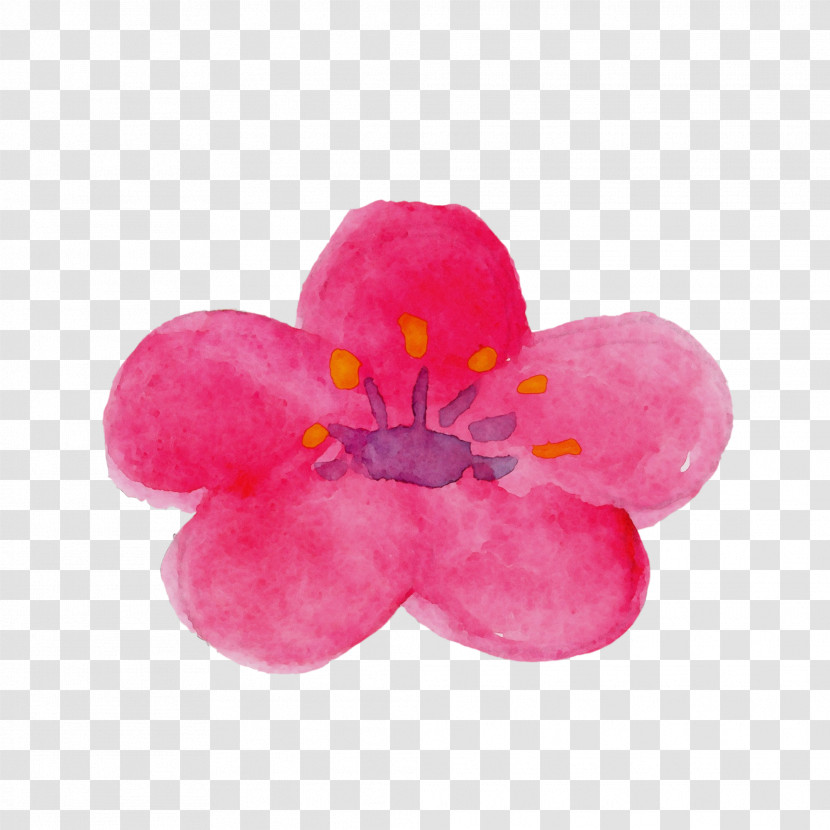 Pink Petal Flower Plant Impatiens Transparent PNG