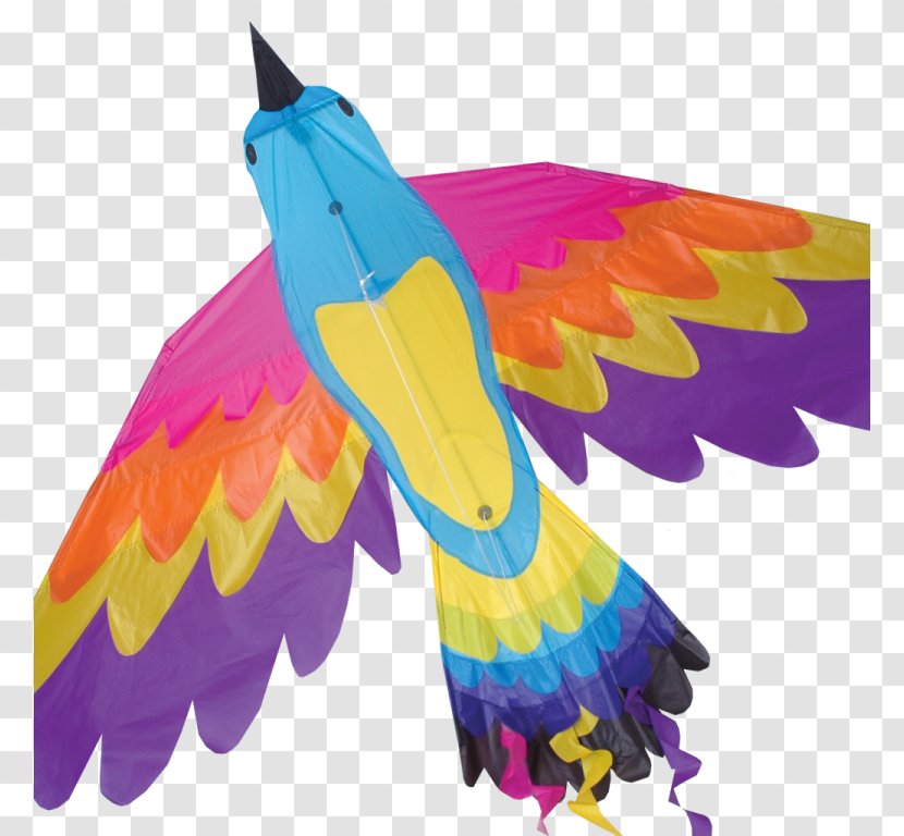 Bird Sport Kite Parrot Macaw Transparent PNG
