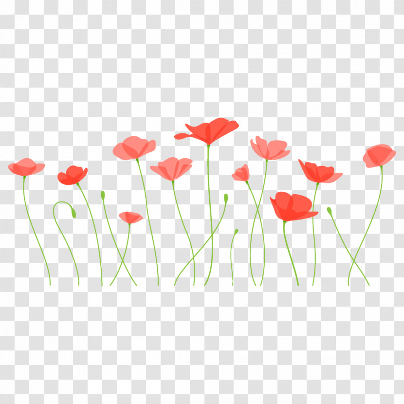 Poppy Flower Transparent PNG