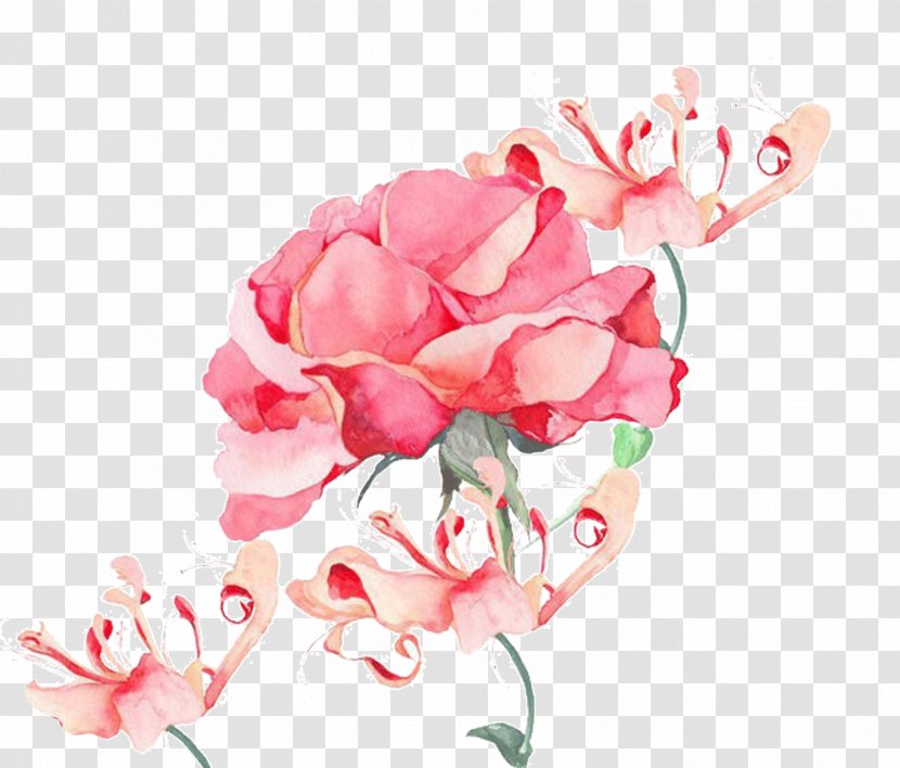 Watercolor Painting Image Design Drawing - Beauty Transparent PNG