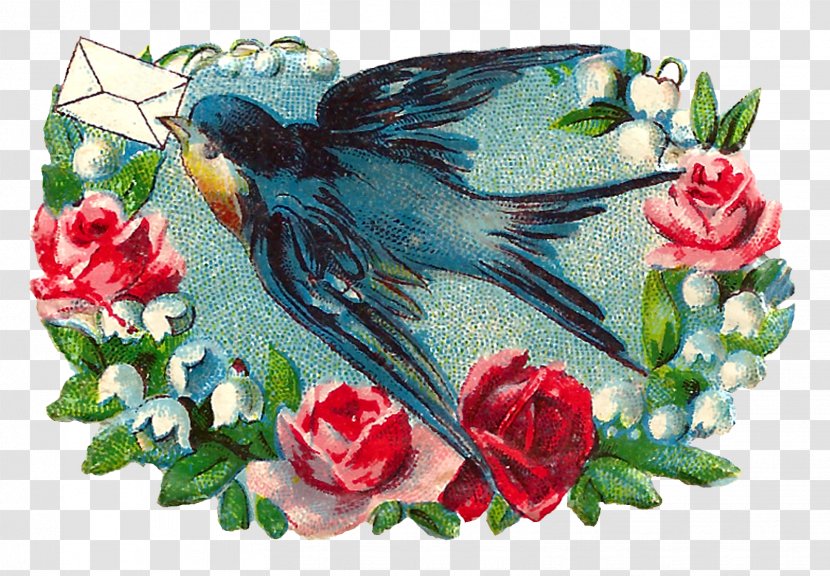 Bird Rose Flower Clip Art - Romance Film - And Designs Transparent PNG