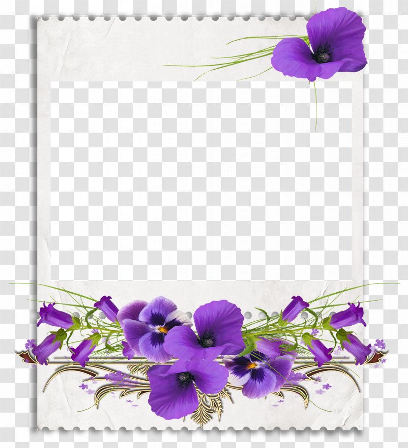 African Violets Clip Art - Cut Flowers - Flower Frames Transparent PNG