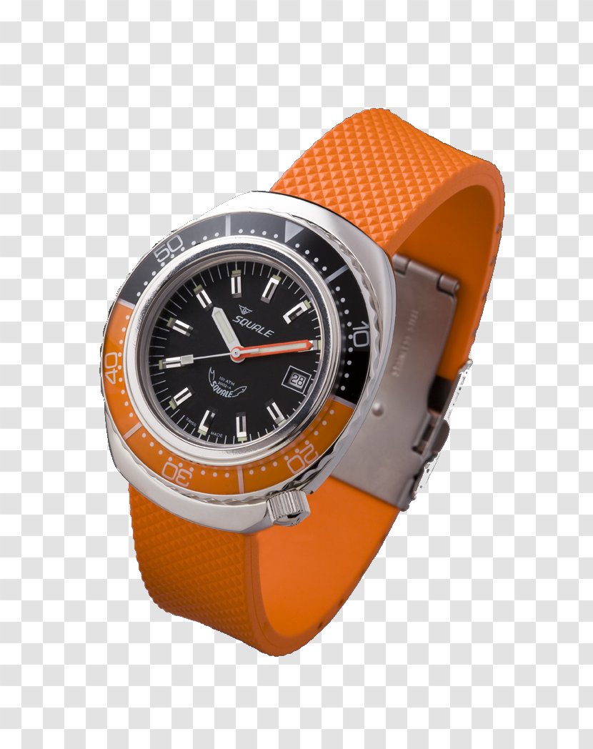 Squale Watches Diving Watch Strap Sinn - Clock Transparent PNG