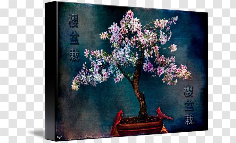 Cherry Blossom Still Life Art Bonsai - Tree Transparent PNG