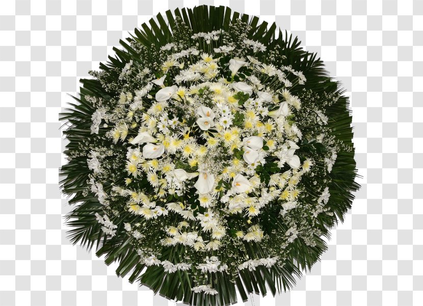 Wreath Floral Design Cut Flowers Flower Bouquet - Transvaal Daisy Transparent PNG