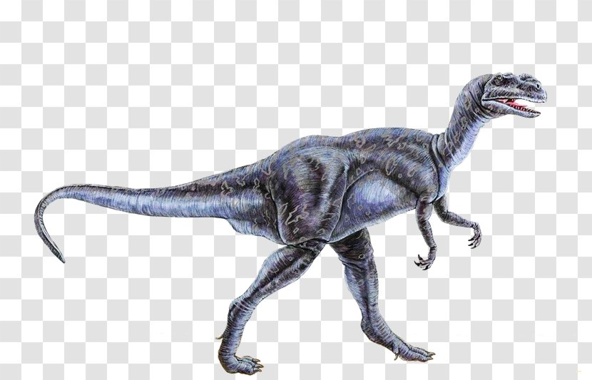 Velociraptor Tyrannosaurus Dinosaur Fossils Stegosaurus - Tree - K3 Transparent PNG