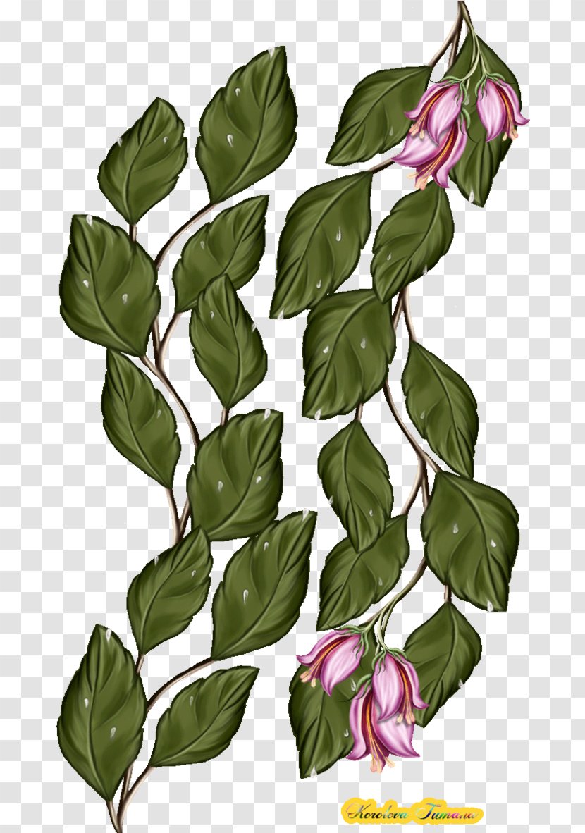 Flower Plant Stem Leaf - Hyperlink - PAINTED LEAVES Transparent PNG