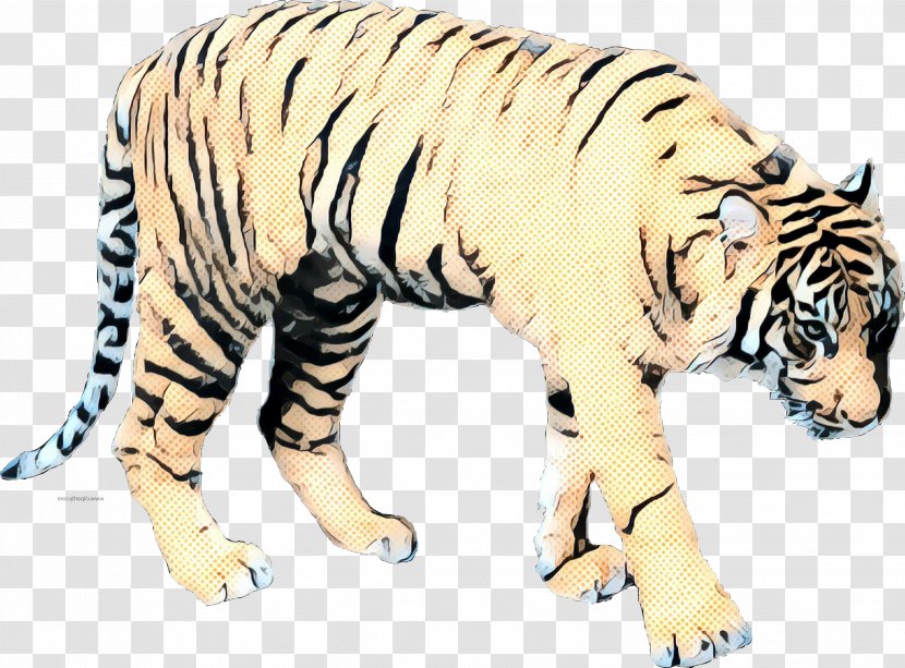 Tiger Wildcat Terrestrial Animal Big Cat - Plant Transparent PNG