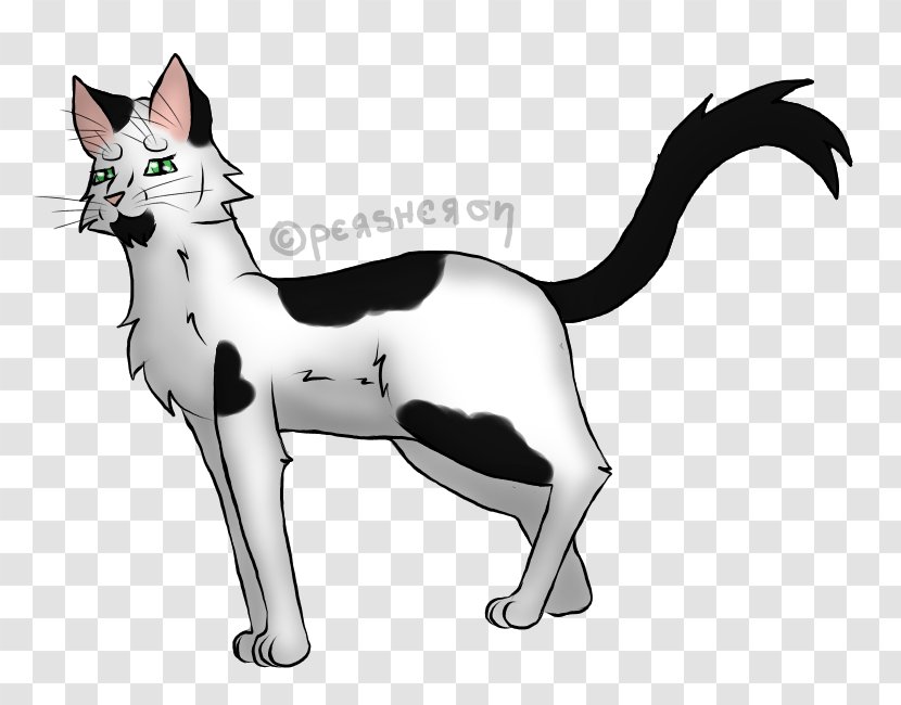 Whiskers Domestic Short-haired Cat Paw Character Transparent PNG