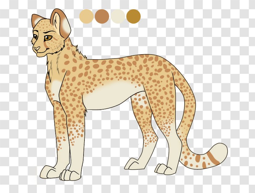 Cheetah Leopard Whiskers Lion Cat - Chinchilla Transparent PNG