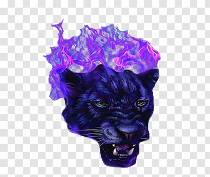 Black Panther Tiger Purple Violet - Big Cat - The Blue Transparent PNG