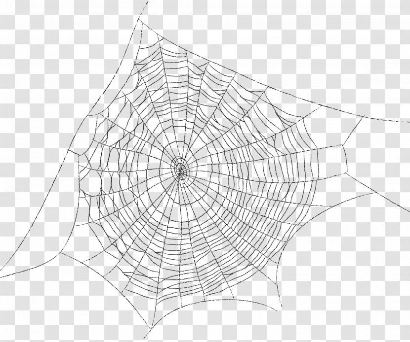 Spider Web Silk Clip Art - Net - Painted Cartoon Transparent PNG