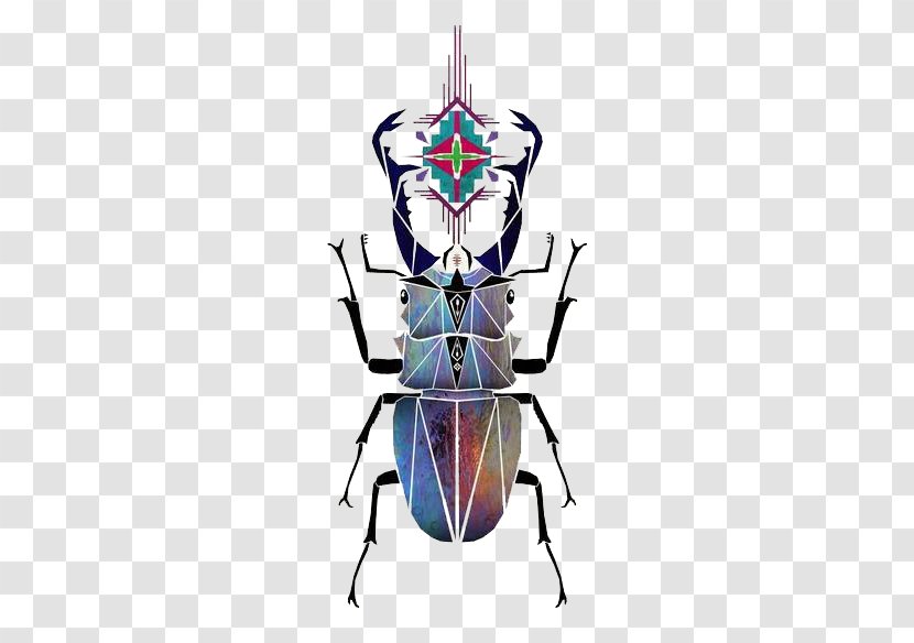 Beetle Art Illustration - Ansichtkaart - Of Lattice Vector Transparent PNG