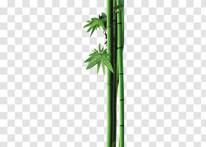 Bamboo Bambusa Oldhamii Leaf Clip Art - Computer Numerical Control - Green Transparent PNG