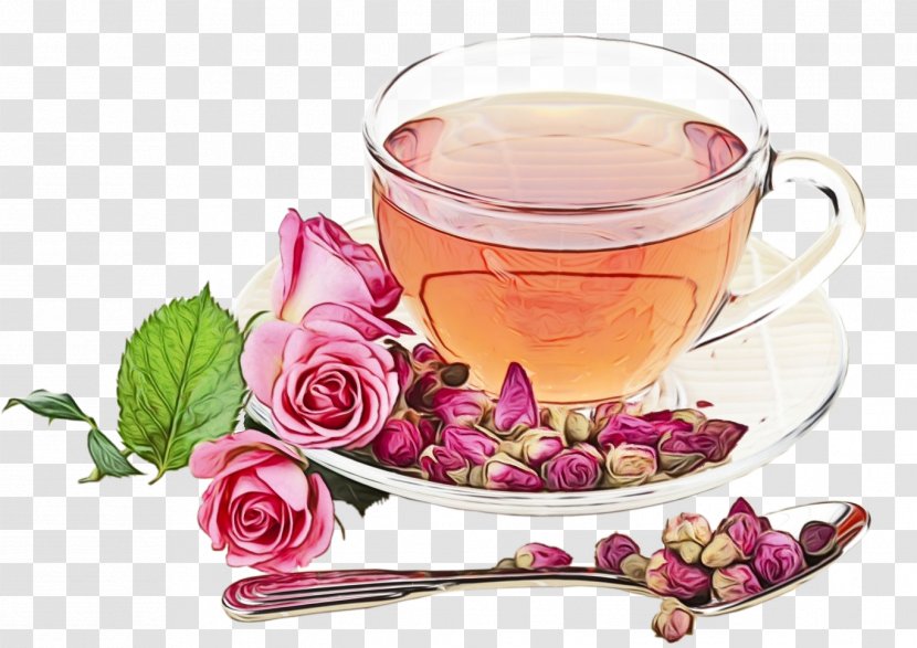 Drink Plant Flower Chinese Herb Tea Teacup - Herbal - Petal Herbaceous Transparent PNG