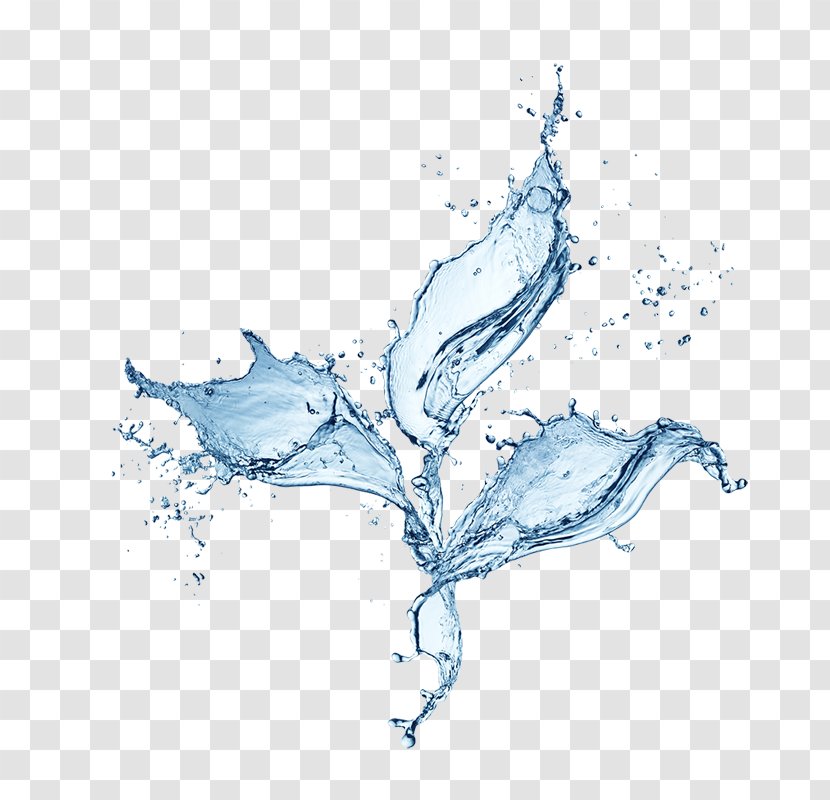 Water Drop Splash - Dynamic Watermark,element Transparent PNG