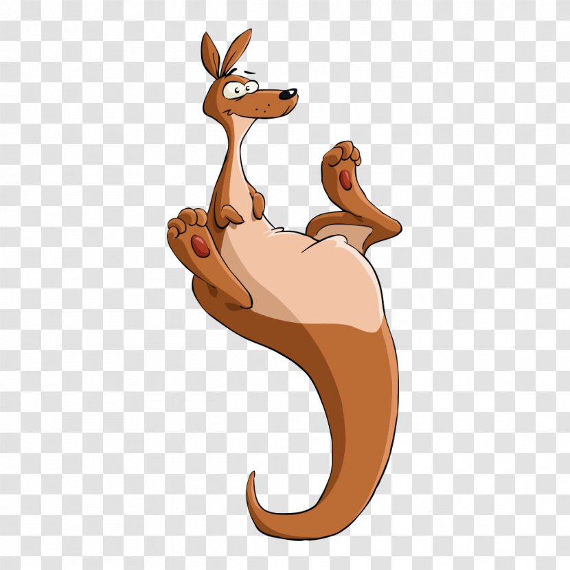 Hippety Hopper Kangaroo Cartoon Illustration - Mammal - Vector Transparent PNG