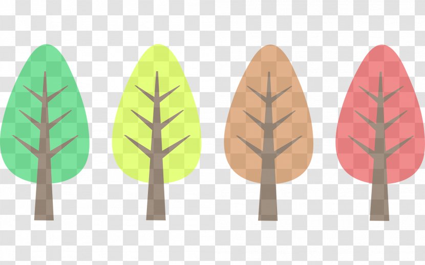 Leaf Tree Plant White Pine Family Transparent PNG
