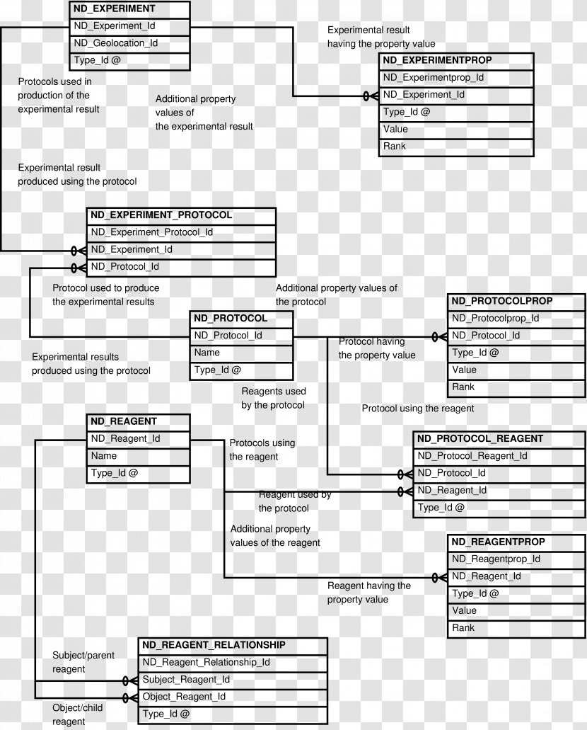 Document Diagram Entity–relationship Model Japanese Tea Ceremony Drawing - Data - Protocol Transparent PNG