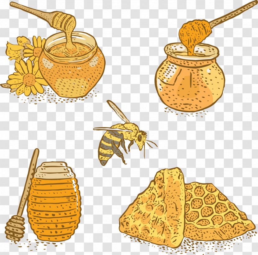 Bee Honey Apis Florea - Pollinator - Hand-painted Craft Transparent PNG