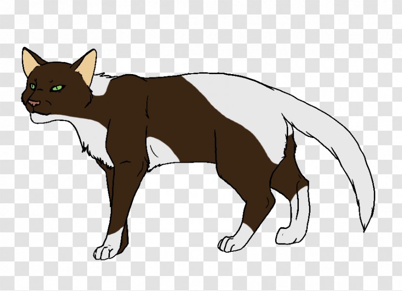 Whiskers Tortoiseshell Cat Tail Tabby - Dog Like Mammal Transparent PNG