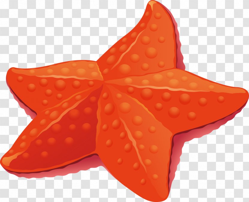 Starfish Euclidean Vector - Orange Transparent PNG